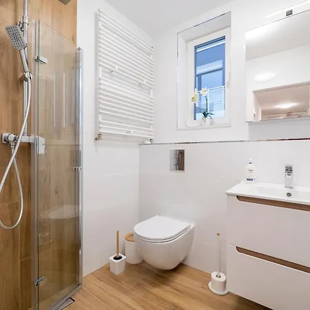 Ali-leo グディニャ